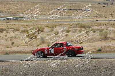 media/May-03-2025-Lucky Dog Racing (Sat) [[206de64b9d]]/Turn 4 B (1150am-130pm)/